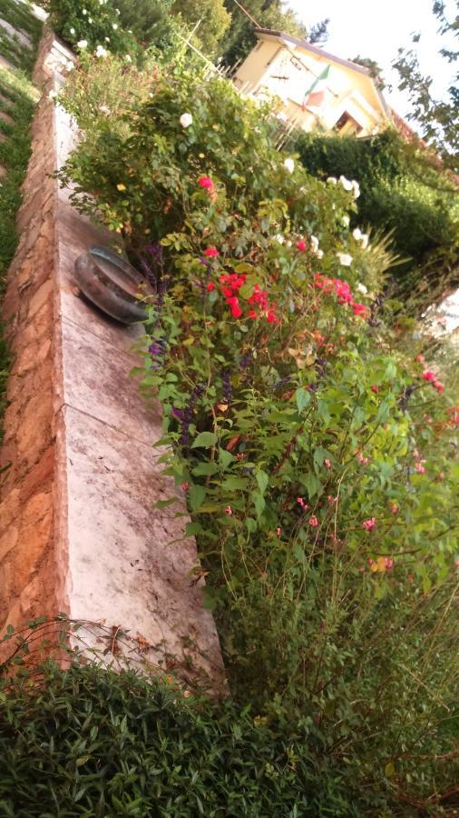 Bed and Breakfast Da Caterina Vittorio Veneto Esterno foto